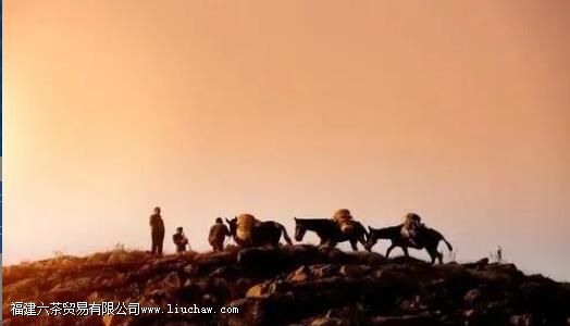 �����ɽ�Ĺ���������ϸ˵�����ɽ�ѻ�