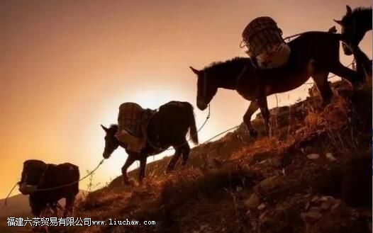 �����ɽ�Ĺ���������ϸ˵�����ɽ�ѻ�