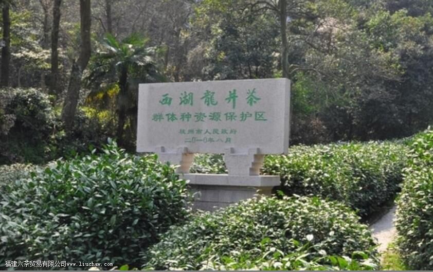 ��������Ļ��봫��