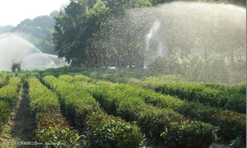 ��������Ļ��봫��