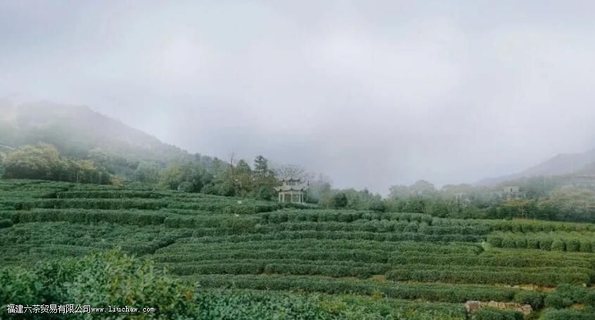 ��������Ļ��봫��