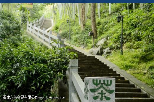 ��������Ļ��봫��