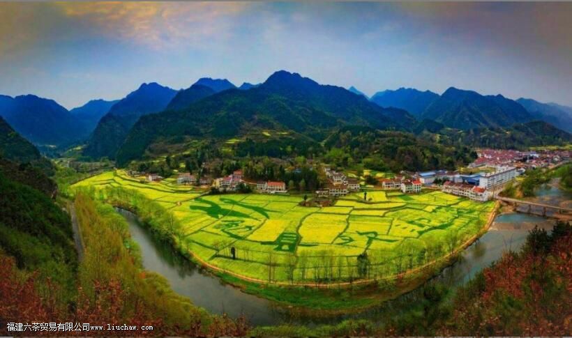 卖茶需要哪些工具 卖茶需要哪些工具