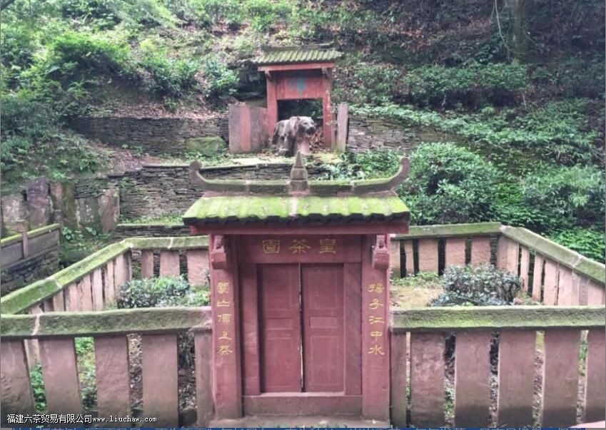 �ɶ���¶�ĵ��