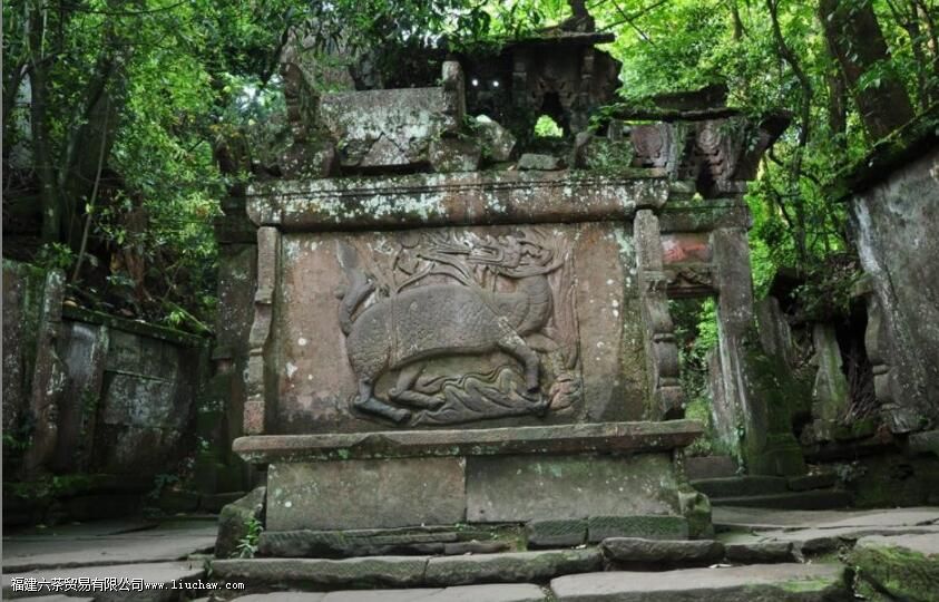 �ɶ���¶�ĵ��