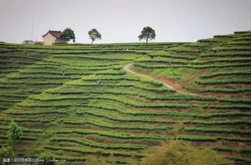 �����ţ������ţ����ײ����ĵ�����