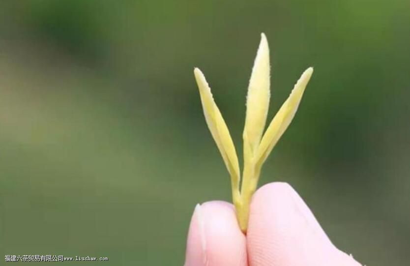 Ʒ������ڣ�һƷ�ھ�����Ʒ��ζ����Ʒ����