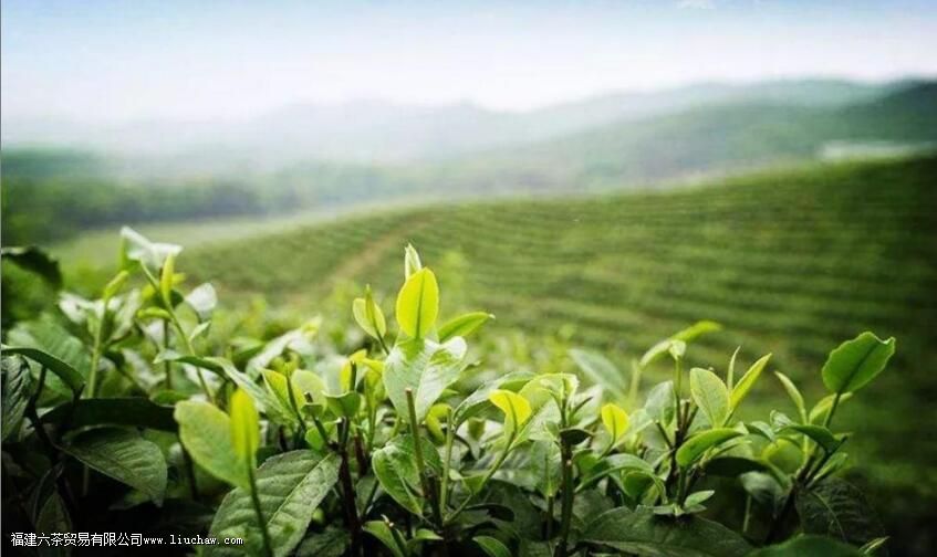 Ʒ������ڣ�һƷ�ھ�����Ʒ��ζ����Ʒ����