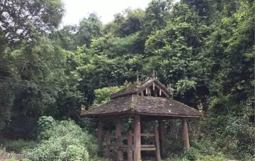 ÆÕ¶ýΪʲô±»³ÆÎªÊÀ½ç²èÔ´ ÆÕ¶ýΪʲô±»³ÆÎªÊÀ½ç²èÔ´