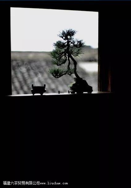 ���һ����������������