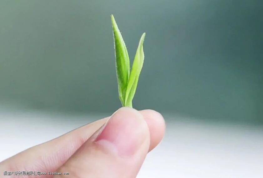 ������裬��һ�����ܳ��ظ�