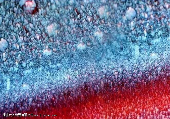 ��Ҥ����Ҥ����Ҥ����Ҥ��​��Ҥ��һ�Ĵ��������δ��������Ҥ