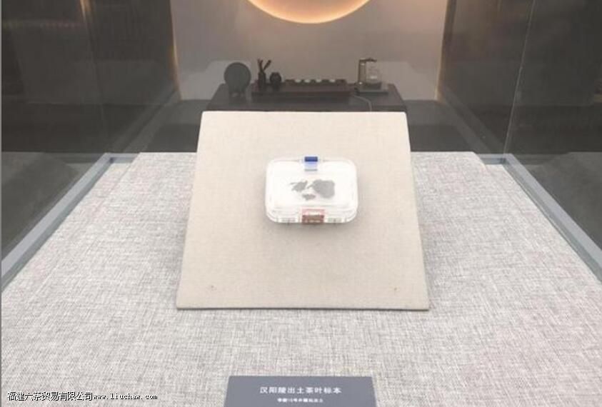 ��������������Ĳ�Ҷ����