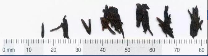 ��������������Ĳ�Ҷ����