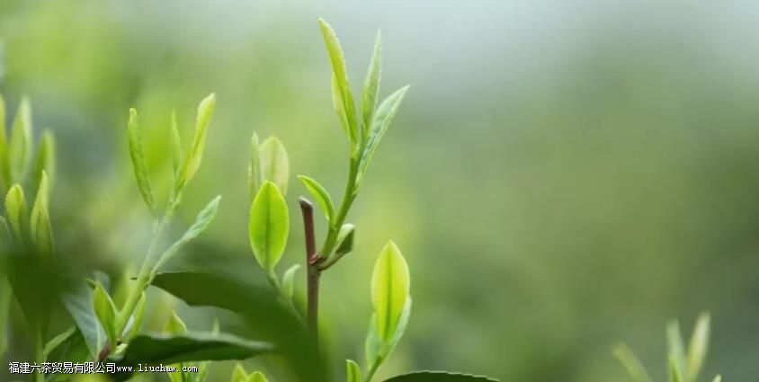 ������Ȳ�֮�ˣ�������Ȼ֮��