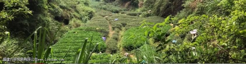 ������Ȳ�֮�ˣ�������Ȼ֮��