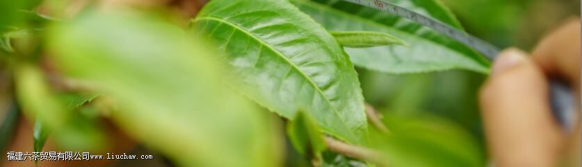 ������Ȳ�֮�ˣ�������Ȼ֮��