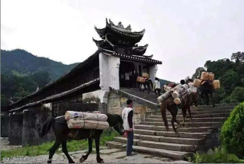 ��������Ҫ���䷽ʽ