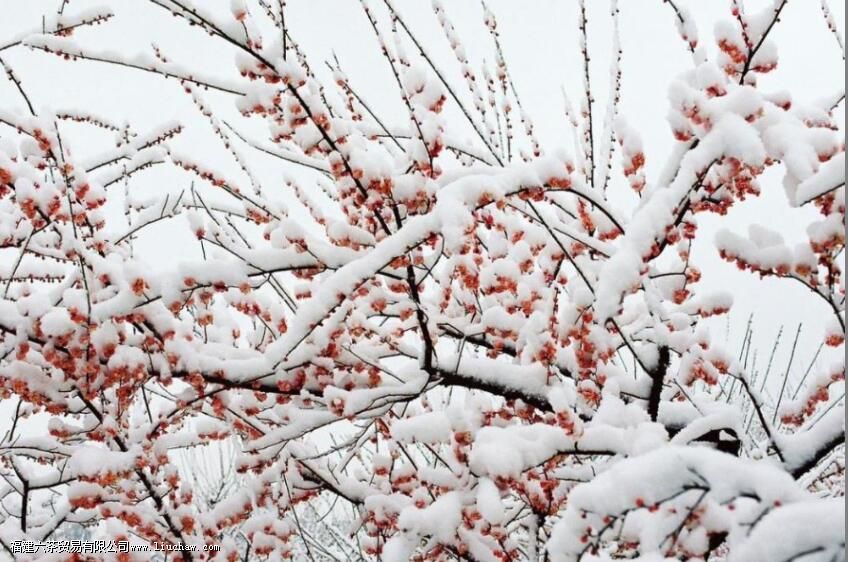 �ں���Ķ��������˻���Щʲô