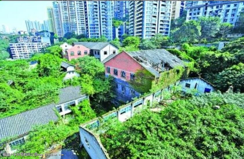 �����������ʷ����