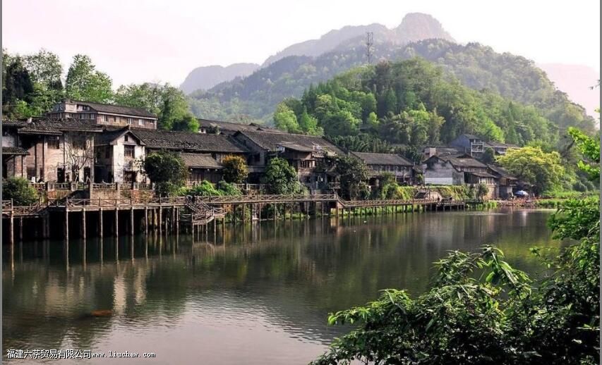 ׯ��  ������ȥʱ���Ͷ�����仰