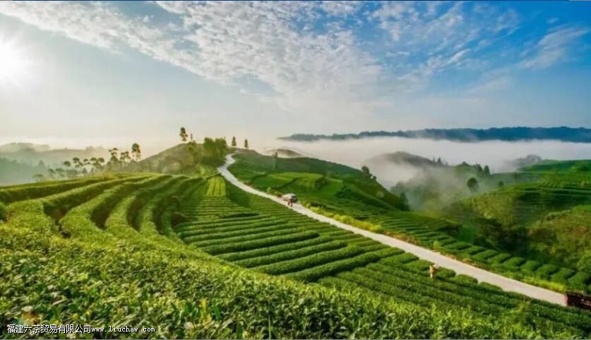 �߽��Ű��ز� �����Ű��ز��Ʒ�֡������ص�