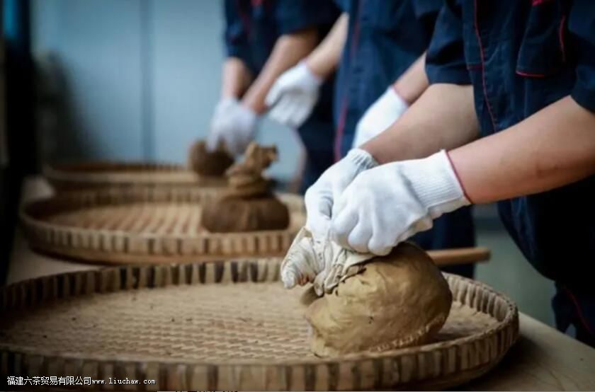 走进雅安藏茶 解析雅安藏茶的品种、工艺特点 走进雅安藏茶 解析雅安藏茶的品种、工艺特点