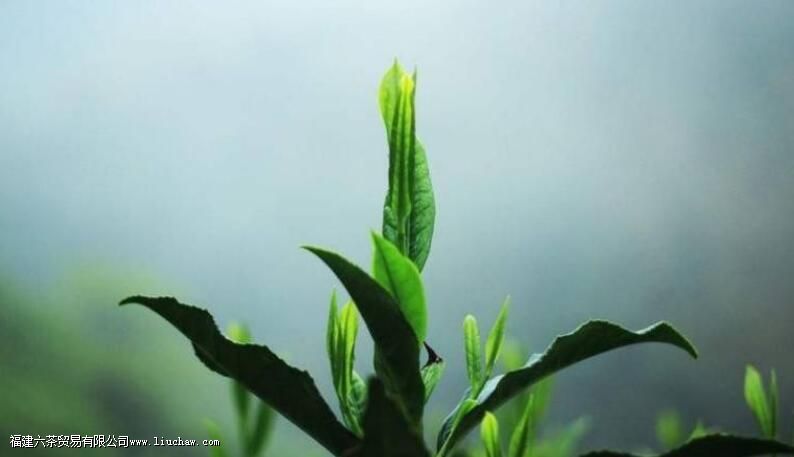 ������֣��������Ҹ� ���һ������������