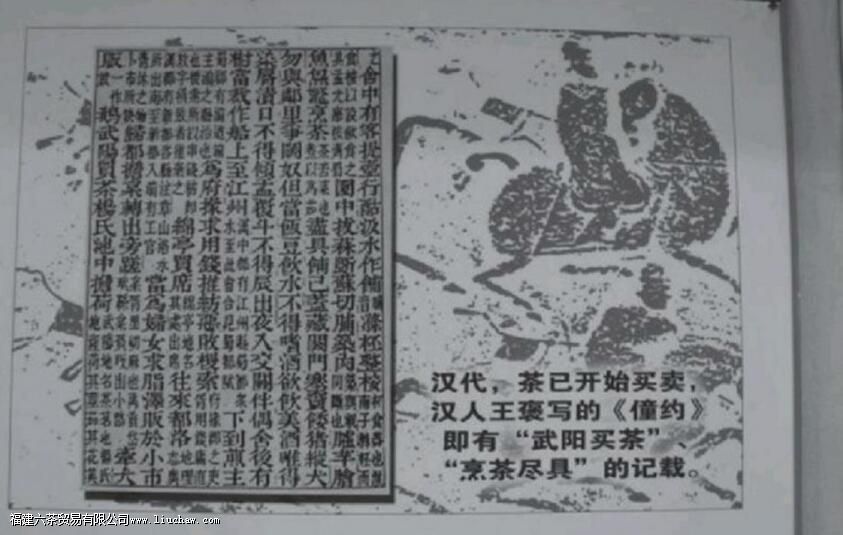 ������ز�Ҷ��Ϊ�ճ���Ʒ������