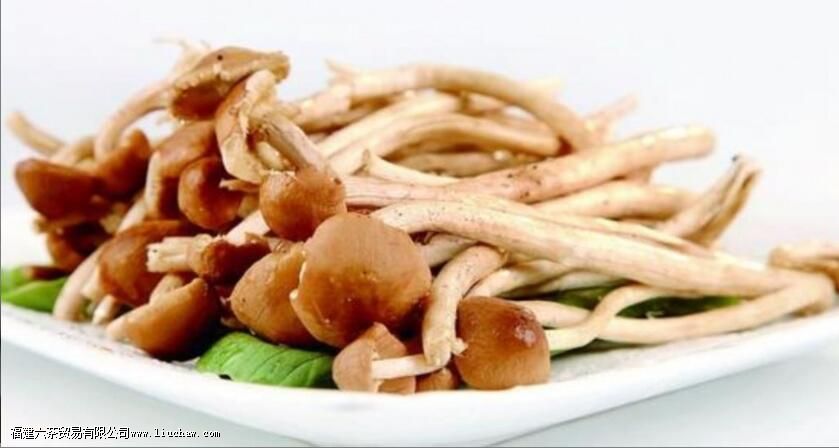 �������ϻ��ǽ���