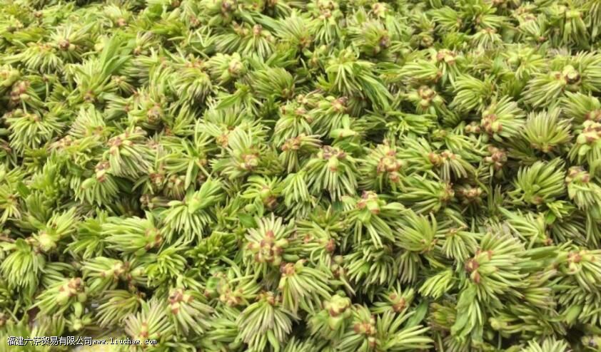 �����ۻ�����ʲô��