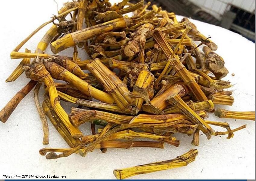 黄草石斛与铁皮石斛的功效与作用 黄草石斛与铁皮石斛的功效与作用