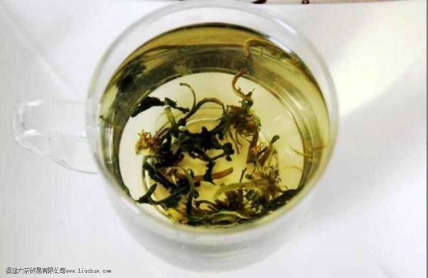 金银花和蒲公英可以一起泡水喝吗 金银花和蒲公英可以一起泡水喝吗