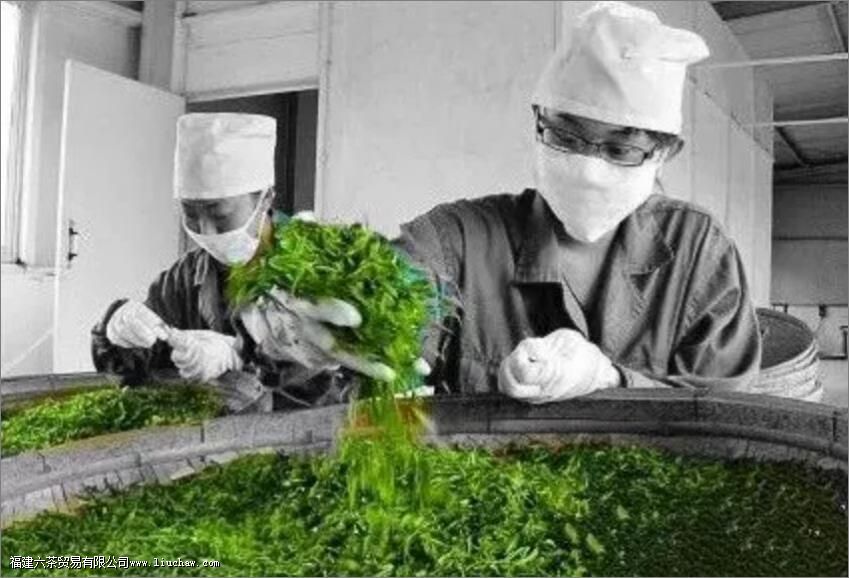 ���̲�Ҷ����������