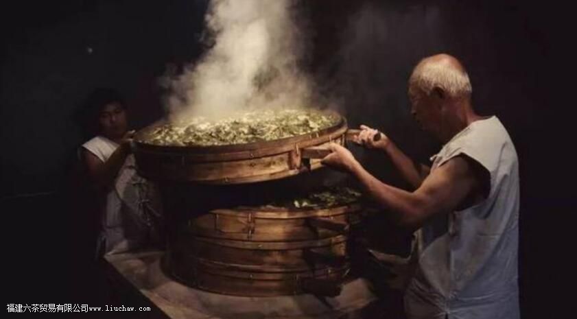 ���̲�Ҷ����������