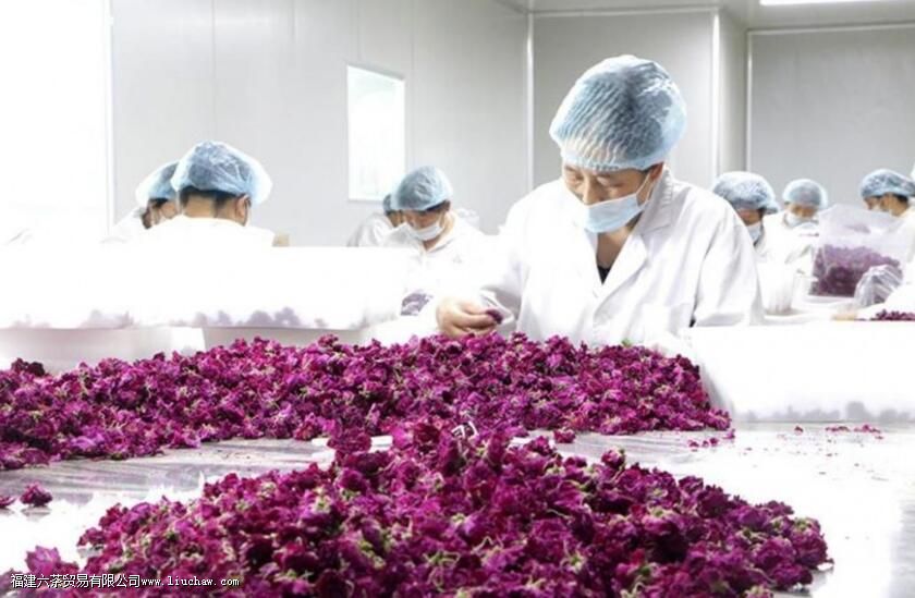 玫瑰花茶是直接晒吗 玫瑰花茶是直接晒吗