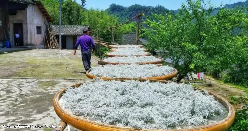 ݮ����ô����