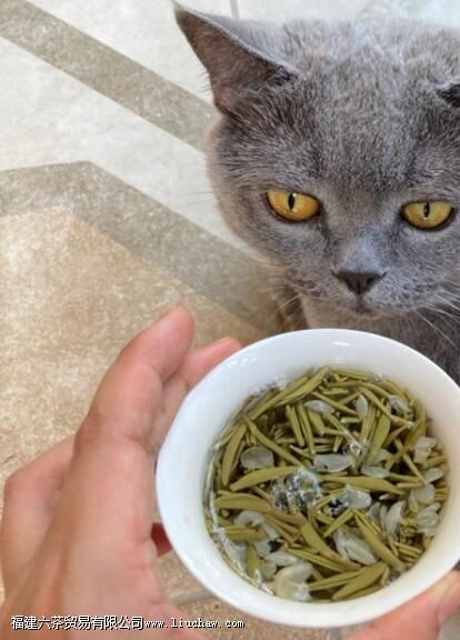 ����������Ի���ô