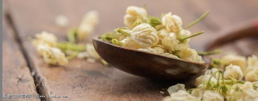 茉莉花可以和什么一起泡 茉莉花可以和什么一起泡