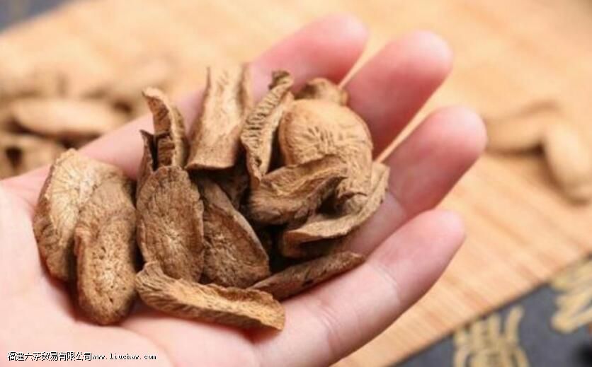 牛蒡茶产地在哪 牛蒡茶产地在哪