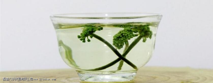 三七花茶功效与作用 三七花茶功效与作用