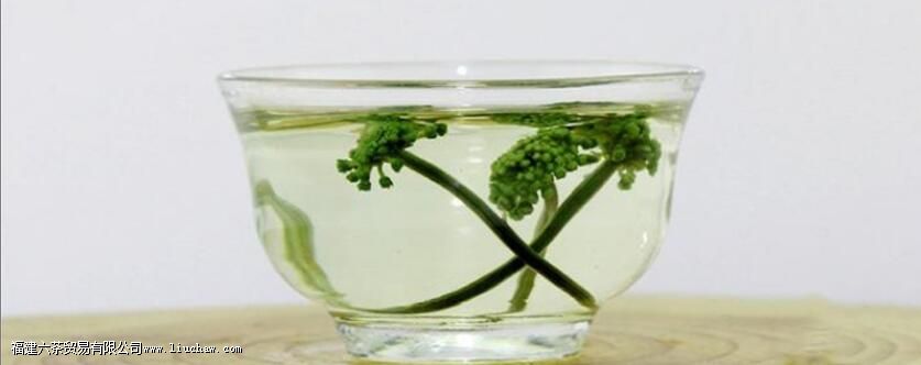 三七花泡水放几朵 三七花泡水放几朵