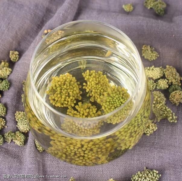 三七花泡水放几朵 三七花泡水放几朵