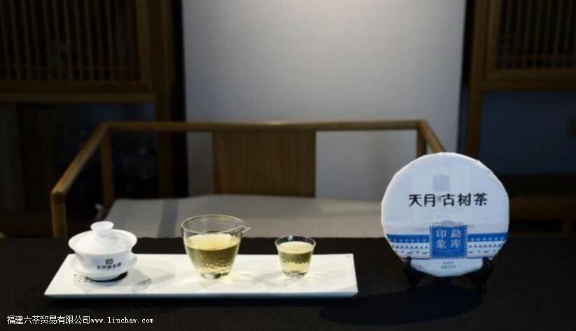 天月古树茶产地 天月古树茶产地