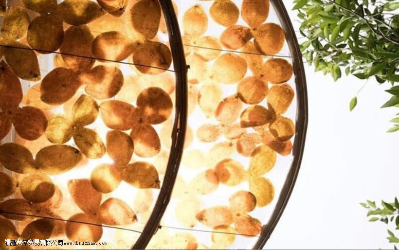 Ϊʲô��Ƥ��Ҫ����ɹ