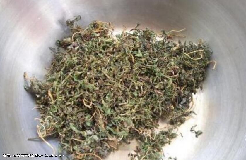 鲜蒲公英怎么处理才能泡水喝 鲜蒲公英怎么处理才能泡水喝