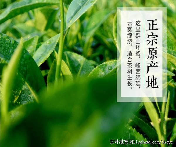 t10������ ���װ/�� 500g ��85Ԫ