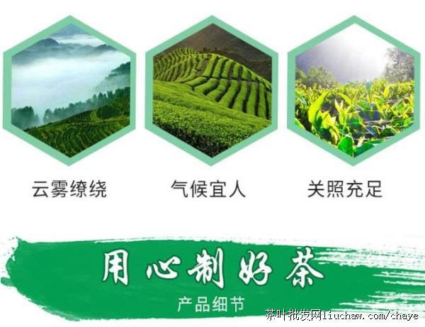 t09�²� ������ ��װ 500g  ��50Ԫ