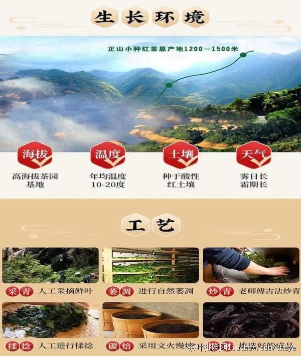 chayez03�²� ������ɽС�� Ũ���� ��� ��װ/���װ500g ����