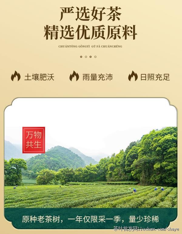 chayeL10��������о Ũ���͸߼����� ��װ/���װ500g